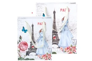 Sac cadeau plastifié avec motif la Tour Eiffel avec poignée en satin 170 x 85 x 210 mm-3