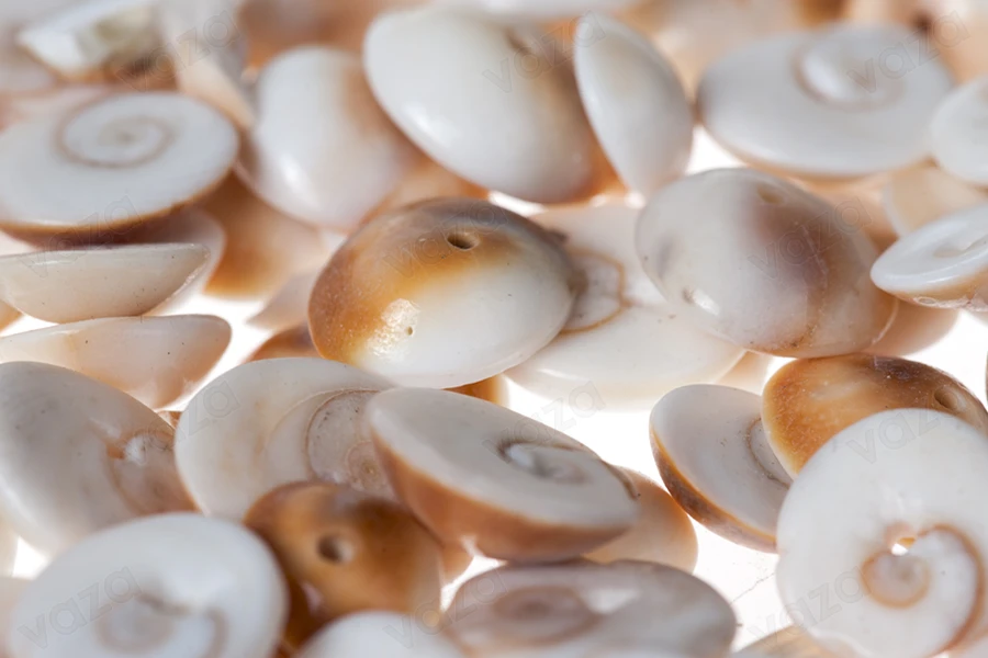 Coquilles pour la décoration dans les tons écru et marron - lot de 200 g (environ 200 pièces)-photo_produit