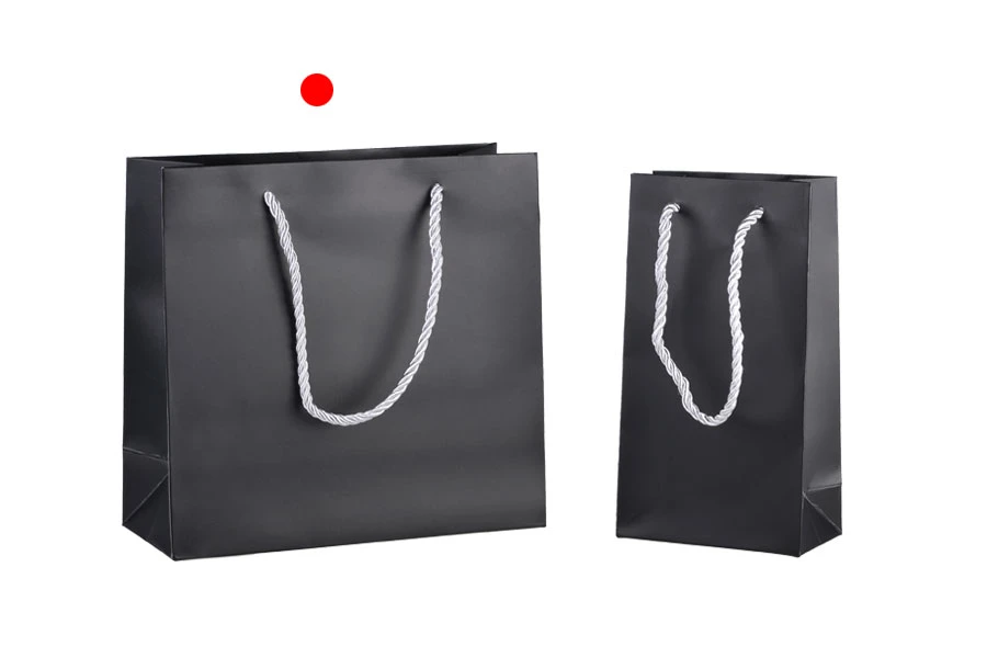 Black laminated gift bag with silver twisted rope handle in size 220x90x210 Black laminated gift bag with silver twisted rope handle in size 220x90x210