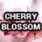1101-13-2 (Cherry Blossom) 
