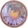 11343 (bee purple)