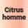 Citrus homme 