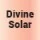 701031-0 (Divine Solar) 