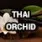 Thai Orchid