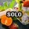 Solo