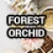 704019-0 (Forest Orchid) 