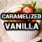 Caramelized Vanilla