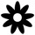 Fleurs 