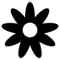 Fleurs 