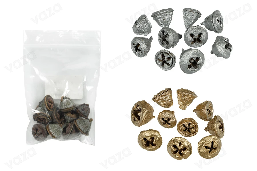 Gommier d'eucalyptus séchés pour la décoration - 10 pcs-photo_dimensions