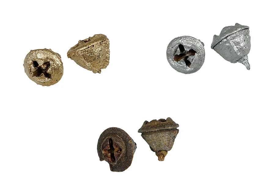 Getrocknete Eukalyptusfrüchte zur Dekoration - 10 Stk Getrocknete Eukalyptusfrüchte zur Dekoration - 10 Stk