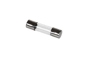 Γυάλινη ασφάλεια 5x20 mm 10Α-1