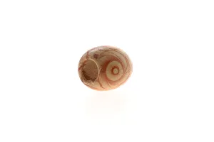 Wooden beads in printed patterns in size 14x15 mm-4