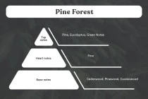 Pine Forest Αρωματικό κερί σόγιας με βαμβακερό φυτίλι (110gr) Pine Forest Αρωματικό κερί σόγιας με βαμβακερό φυτίλι (110gr)
