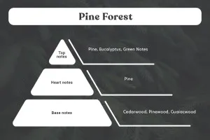 Pine Forest Olio Profumato 100ml-3