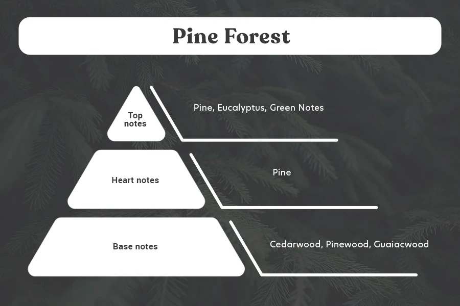 Pine Forest Αρωματικό κερί σόγιας με βαμβακερό φυτίλι (110gr) Pine Forest Αρωματικό κερί σόγιας με βαμβακερό φυτίλι (110gr)