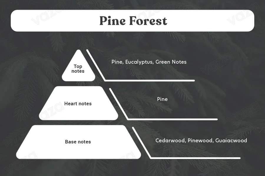 Pine Forest Αρωματικό έλαιο 100 ml-
