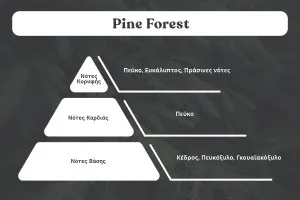 Pine Forest Olio Profumato 100ml-2