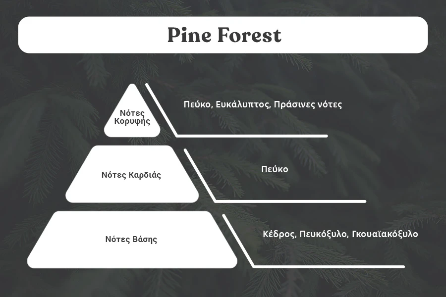 Pine Forest Αρωματικό κερί σόγιας με βαμβακερό φυτίλι (110gr) Pine Forest Αρωματικό κερί σόγιας με βαμβακερό φυτίλι (110gr)