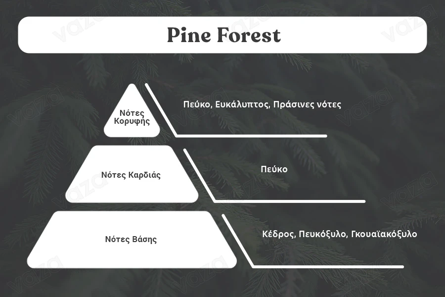 Pine Forest Αρωματικό έλαιο 100 ml-εικόνα_διαστάσεις