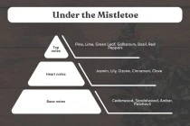 Under the Mistletoe Αρωματικό κερί σόγιας με βαμβακερό φυτίλι (110gr) Under the Mistletoe Αρωματικό κερί σόγιας με βαμβακερό φυτίλι (110gr)