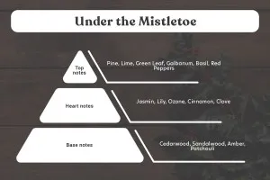 Under the Mistletoe Αρωματικό κερί σόγιας με βαμβακερό φυτίλι (110gr)-3