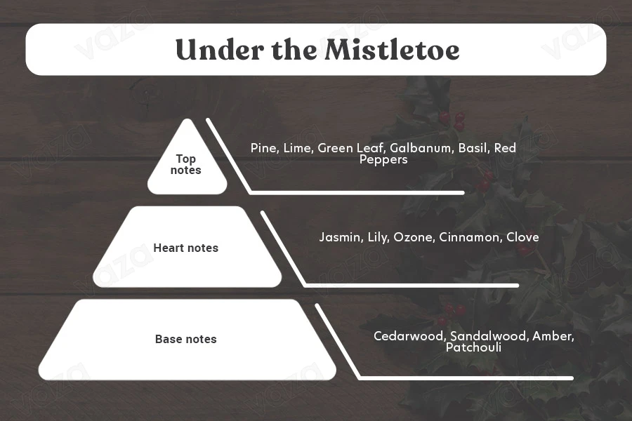 Under the Mistletoe Aromatic soy candle with cotton wick (110gr)-
