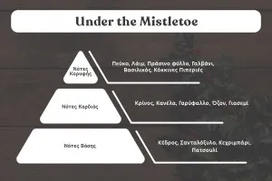 Under the Mistletoe Αρωματικό κερί σόγιας με βαμβακερό φυτίλι (110gr)-2