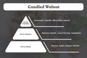 Candied Walnut Fragrance Oil 100 ml-2