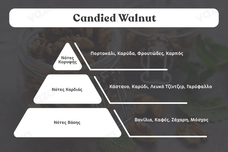 Candied Walnut Fragrance Oil 100 ml-image_dimensions