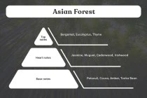 Huile de parfum Asian Forest de 100 ml Huile de parfum Asian Forest de 100 ml