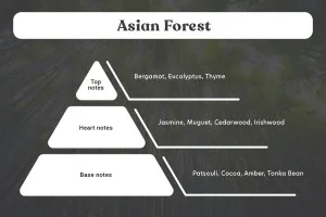 Asian Forest Bougie de soja aromatique avec mèche en bois (110gr)-3