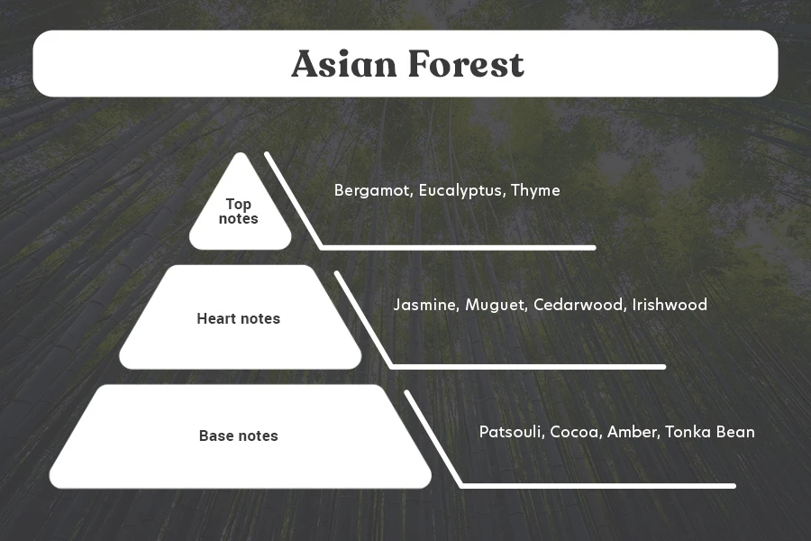 Huile de parfum Asian Forest de 100 ml Huile de parfum Asian Forest de 100 ml