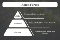 Huile de parfum Asian Forest de 100 ml Huile de parfum Asian Forest de 100 ml