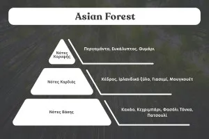 Asian Forest Bougie de soja aromatique avec mèche en bois (110gr)-2