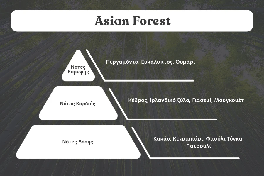 Huile de parfum Asian Forest de 100 ml Huile de parfum Asian Forest de 100 ml