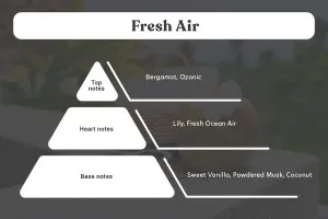 Fresh Air Αρωματικό κερί σόγιας με βαμβακερό φυτίλι (110gr)-3