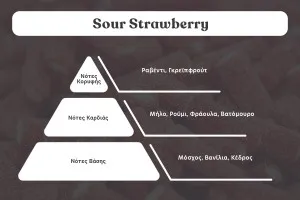 Sour Strawberry Αρωματικό κερί σόγιας με βαμβακερό φυτίλι (110gr)-2