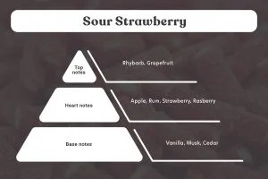 Sour Strawberry Αρωματικό κερί σόγιας με βαμβακερό φυτίλι (110gr)-3