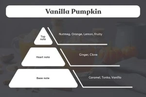Vanilla Pumpkin Αρωματικό κερί σόγιας με βαμβακερό φυτίλι (110gr)-3