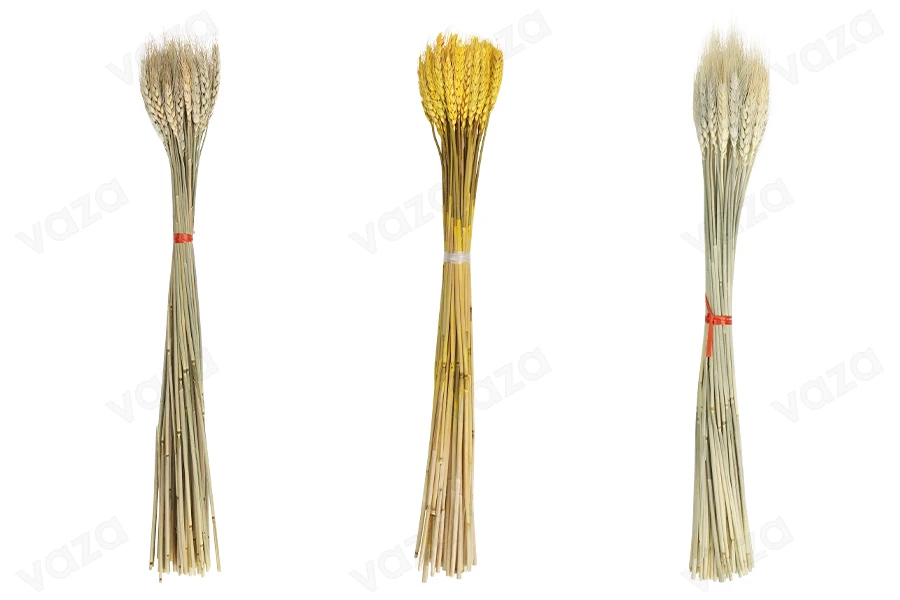 Trockenblumen - Maiskolben zur Dekoration - 1 Stück (Blumenstrauß mit ca. 50 Zweigen)-εικόνα_προϊοντική