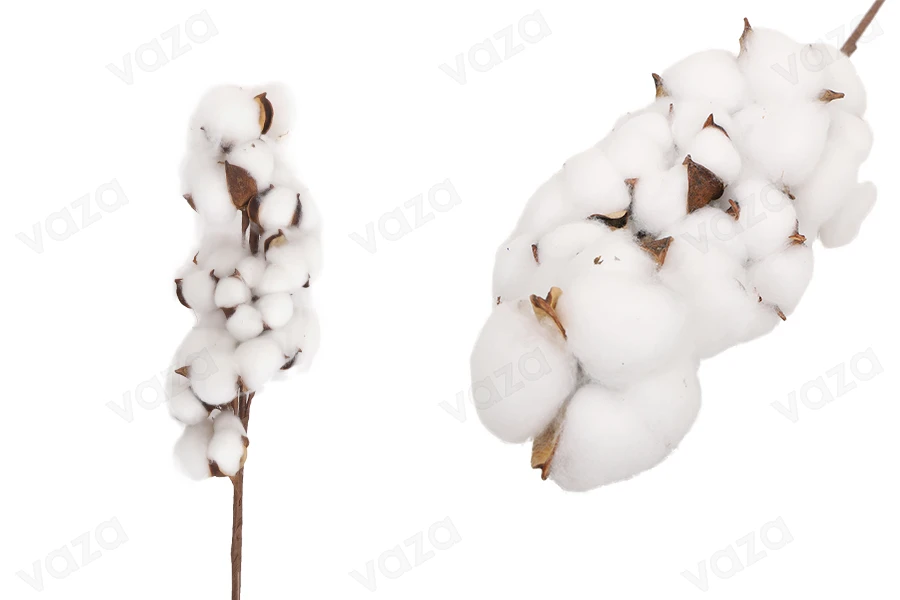Ramo decorativo con fiore di cotone-immagine_prodotto