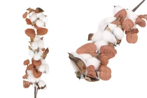 Decoration cotton flower stem with brown leaves-image_product