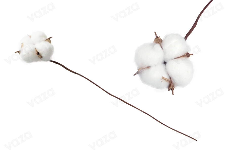 Fiore di cotone decorativo-immagine_prodotto
