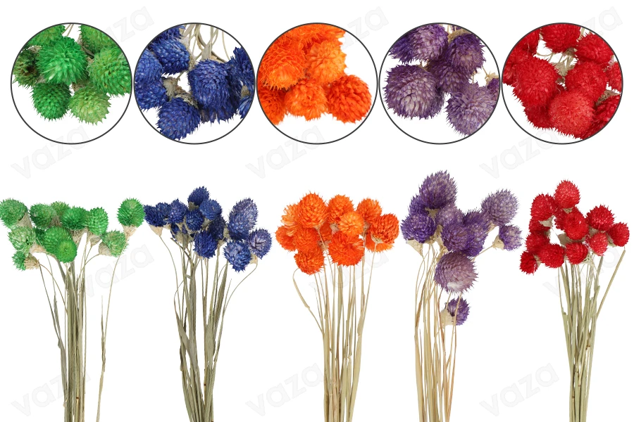 Colorful dried flowers, perfect ornament and decoration idea - 1 bunch (approx. 15 pieces per bunch) Colorful dried flowers, perfect ornament and decoration idea - 1 bunch (approx. 15 pieces per bunch)-image_dimensions
