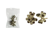 Gommier d'eucalyptus décoratifs séchés- 2 pcs-photo_produit