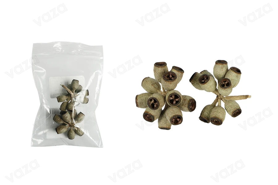 Gommier d'eucalyptus décoratifs séchés- 2 pcs Gommier d'eucalyptus décoratifs séchés- 2 pcs-photo_produit