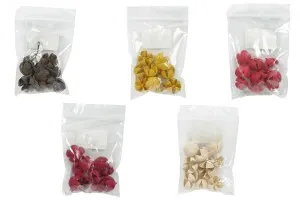 Dried fruits for decoration in various colors - 10 pcs-2