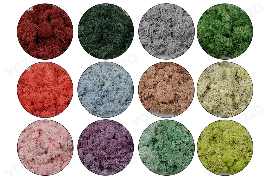 Muschio naturale decorativo in vari colori - confezione da 200 g Muschio naturale decorativo in vari colori - confezione da 200 g-dimensioni_immagine