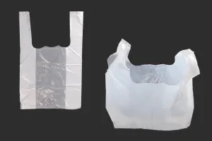 Transparent plastic carry-out bag in size 20x32 cm - 100 pcs-1